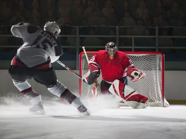 Hockey fan