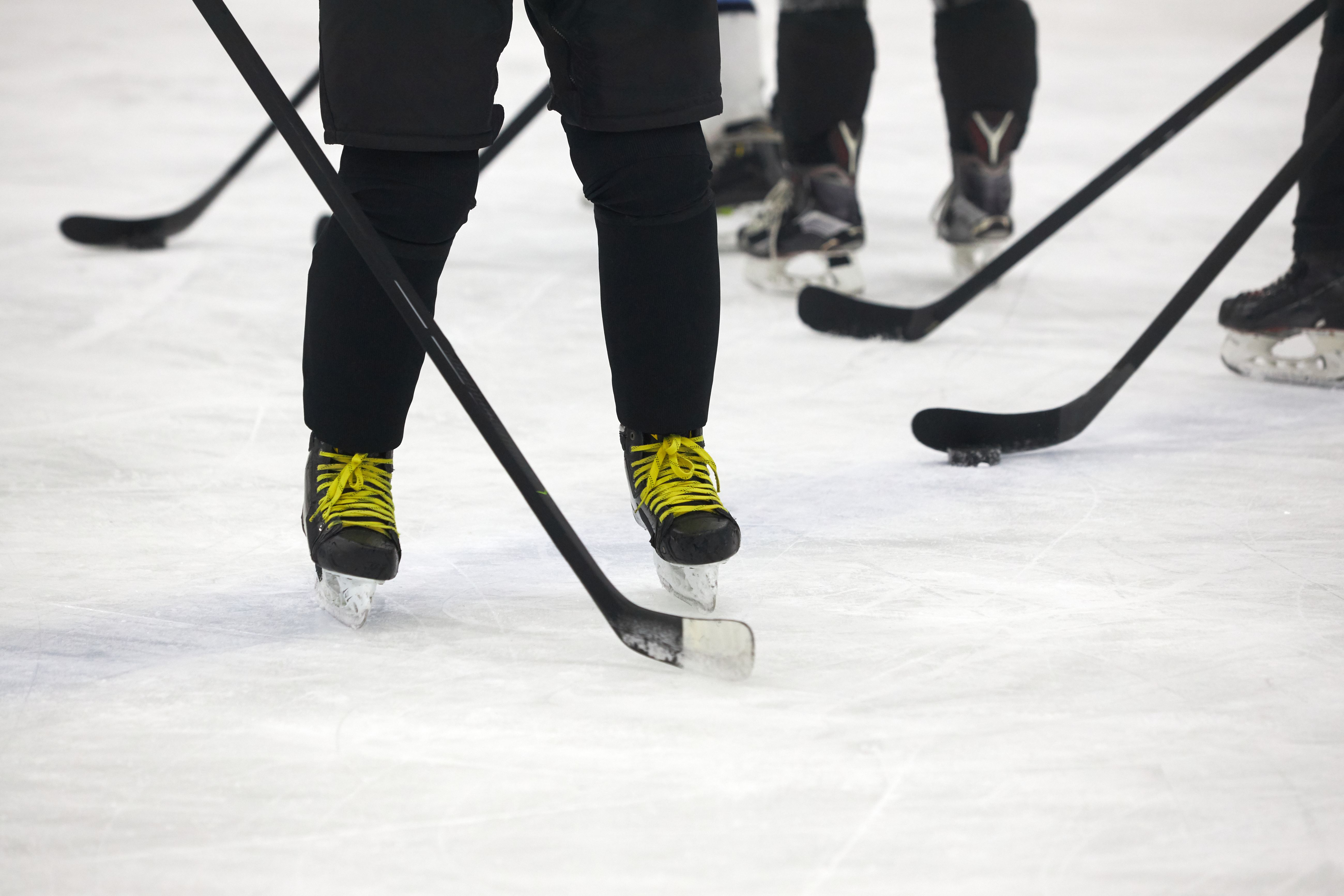Boston Bruins goaltender in net